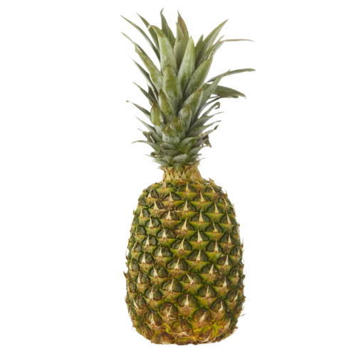 Fresh Pineapple |Wilson Inmate Package Program 