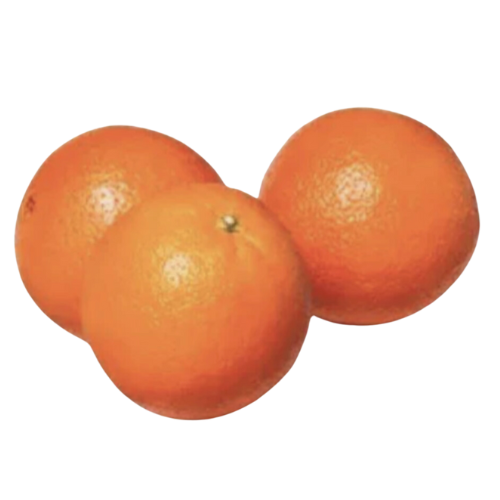 Fresh Oranges  3ct